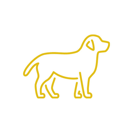 Dog Food & SuppliesDog icon