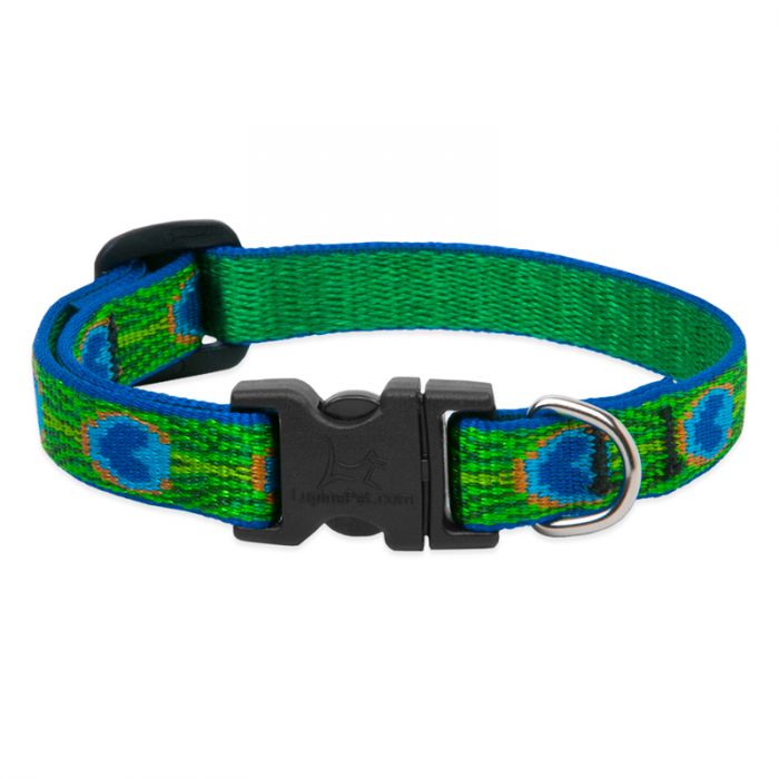 Lupine Pet Original Designs Dog Collar - Winchester, VA