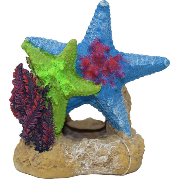 EXOTIC ENVIRONMENTS SEA STAR DUO WITH PLANT