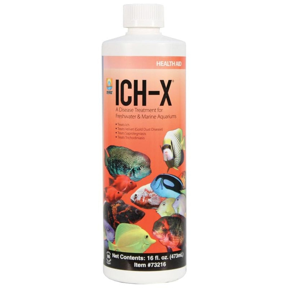 AQUARIUM SOLUTIONS ICHX ICH & FUNGAL TREATMENT Winchester, VA