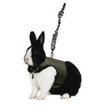 Kaytee Comfort Harness & Stretchy Leash