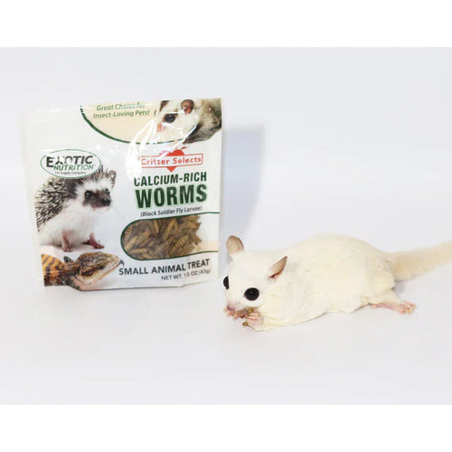 Exotic Nutrition Dried Black Soldier Fly Larvae Small Pet Treat