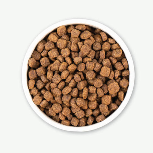 Earthborn Holistic Meadow Feast™ Dry Dog Food