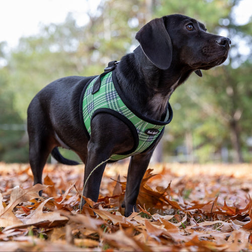 Bark Appeal Plaid Mesh EZ Wrap Harness