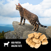 ORIJEN Freeze Dried Tundra Cat Treats