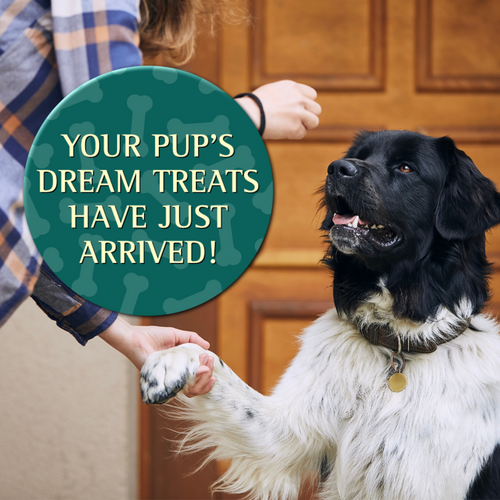 Zignature Salmon Soft Moist Treats for Dogs