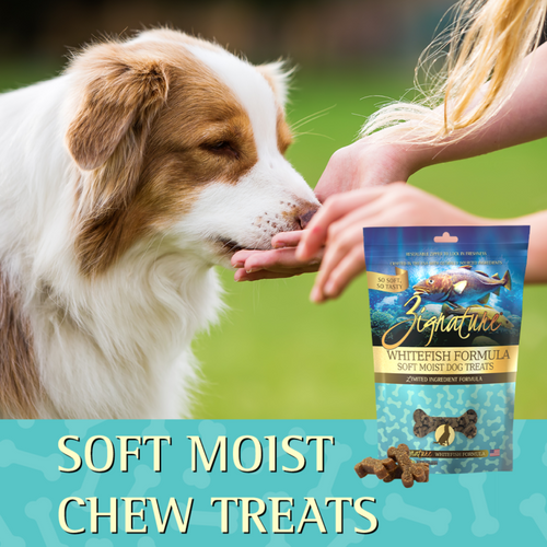 Zignature Whitefish Soft Moist Treats for Dogs