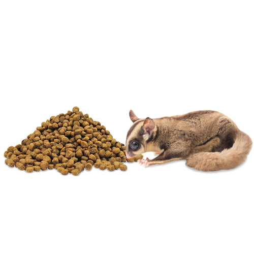 Exotic Nutrition ZooPro Glider Essential Sugar Glider Food