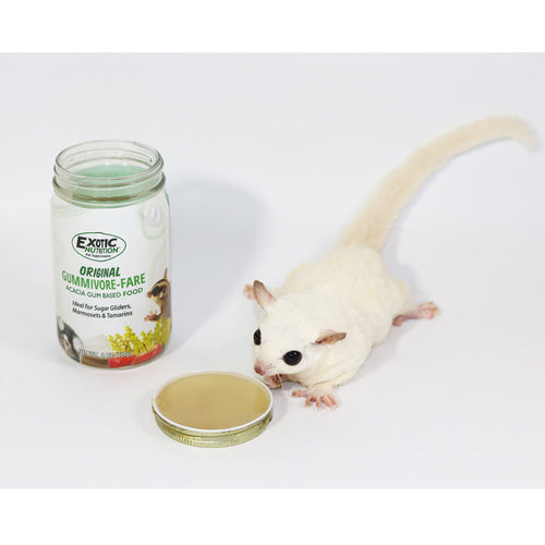 Exotic Nutrition Gummivore-Fare Sugar Glider Food