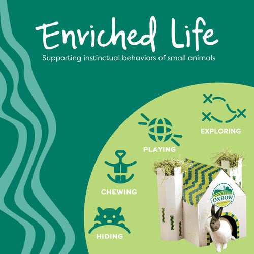 Oxbow Animal Health Enriched Life – Wobble Teaser