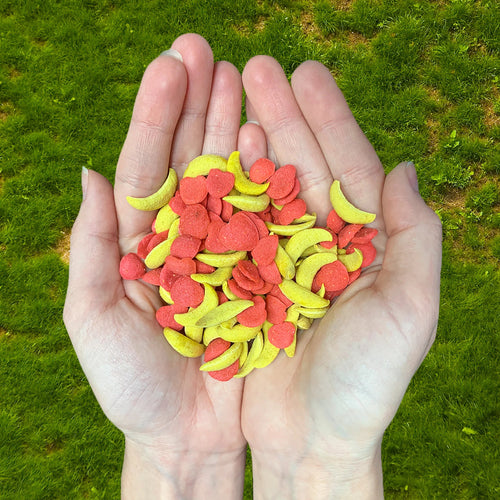 Exotic Nutrition Critter Selects Crunchez Apple & Banana Recipe Small Animal Treat