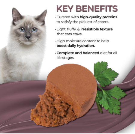 Fussie Cat Fine Dining - Mousse Mackerel with Pumpkin Entree in Gravy Canned Cat Food