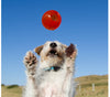 Bionic Ball Dog Toys