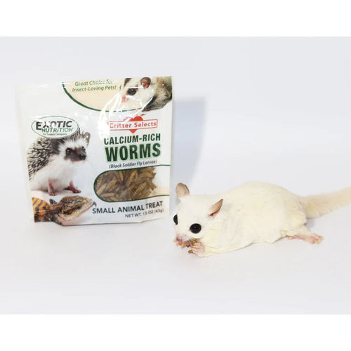 Exotic Nutrition Dried Black Soldier Fly Larvae Small Pet Treat