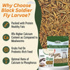 Exotic Nutrition Dried Black Soldier Fly Larvae Small Pet Treat