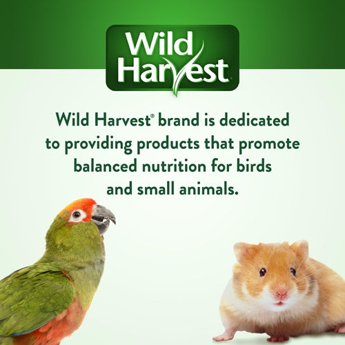 Wild Harvest Treat Stick with Tough Core for Small and Medium Birds Treats