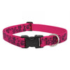 Lupine Pet Original Designs Dog Collar