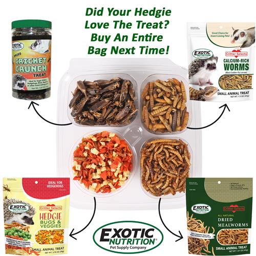 Exotic Nutrition Hedgehog Treat Variety Pack