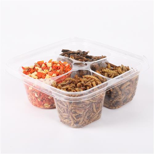 Exotic Nutrition Hedgehog Treat Variety Pack