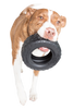 Mammoth TireBiter® Dog Toy