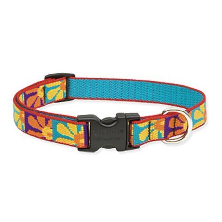 Lupine Pet Original Designs Dog Collar